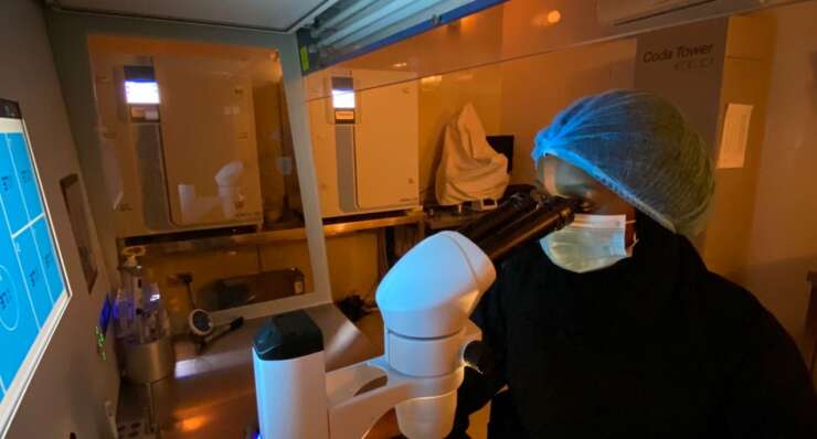 Embryology Consultation